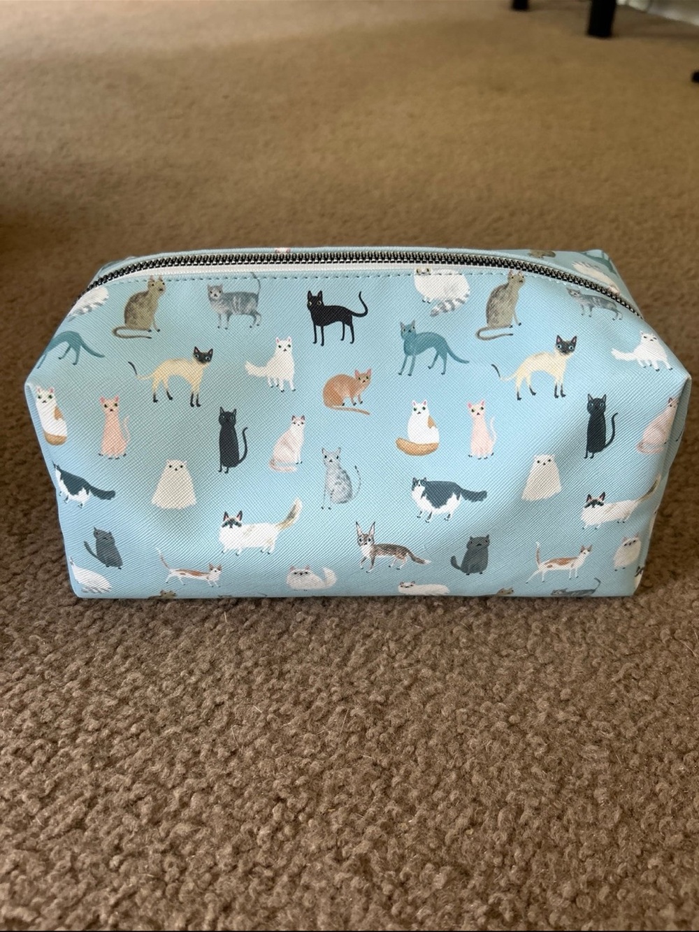 Cat Print Cosmetic Pouch - Light Blue